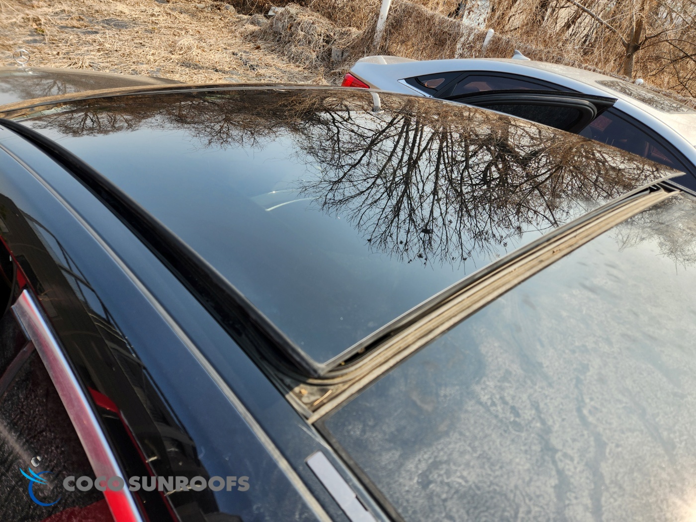 3731008444_gu1THBin_434b61f4d069547cabf357ab51a3fe8d659e48fa.jpg 이미지크게보기